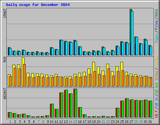 Daily usage for December 2024