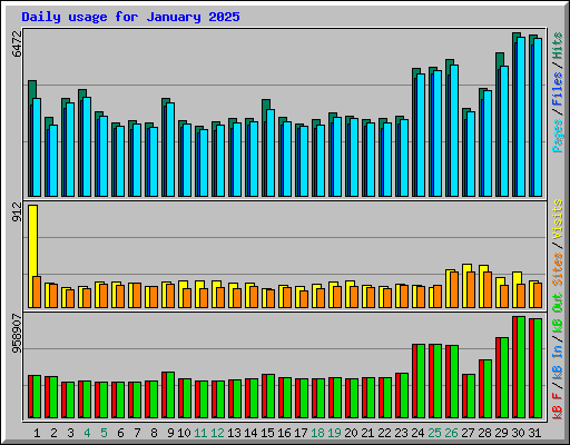 Daily usage for January 2025