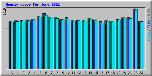 Hourly usage for June 2021