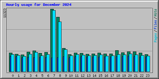 Hourly usage for December 2024
