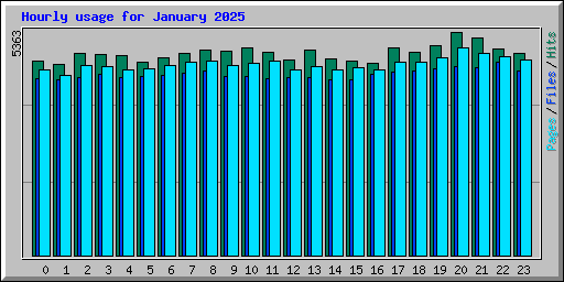 Hourly usage for January 2025