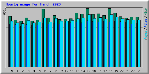 Hourly usage for March 2025